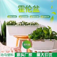 �̨�N����Nֲ���ͥ��ݮ���L�l�L���λ������ϻ��������E18