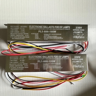 Optical Oxygen Waste Gas Environmentally Friendly Sewage Treatment 100W120W Single-Ended 4-Pin Ultraviolet Sterilization Lamp Digital Ballast