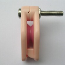 ���_�ڊA���� ������|���ù̶��A �������������Ʉ�