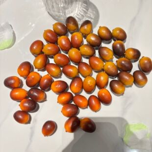 ����������������}�Q�b�����zӰ������ĭ�{���ϙ���S�����l