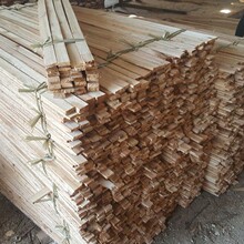 ؛�\�������f��ľ��ľ����bľ�lľ�匍ľӲ�sľ��ľ��Ҏ��ɶ���