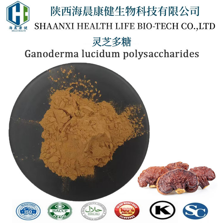 灵芝多糖50% 药食同源菌丝体多糖灵芝提取物水溶性灵芝粉海晨康健