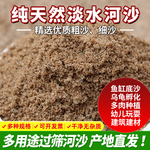 天然河沙砂沙子沙土土壤种植实验填充鱼缸粗沙细沙黄沙黄砂营养土