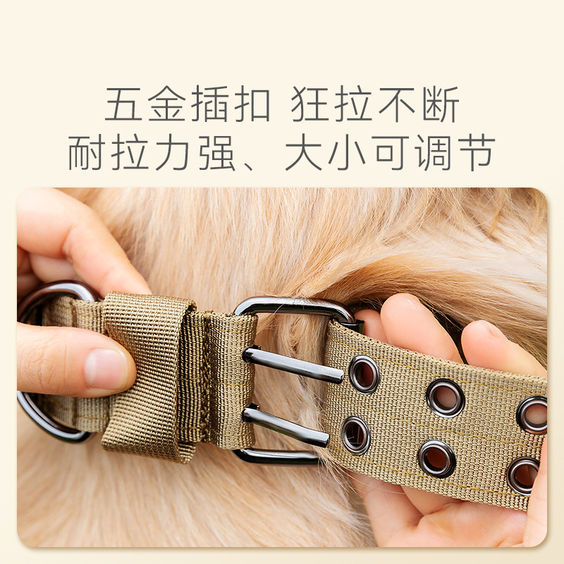 Collar de perros, collar de perros, collar de perros