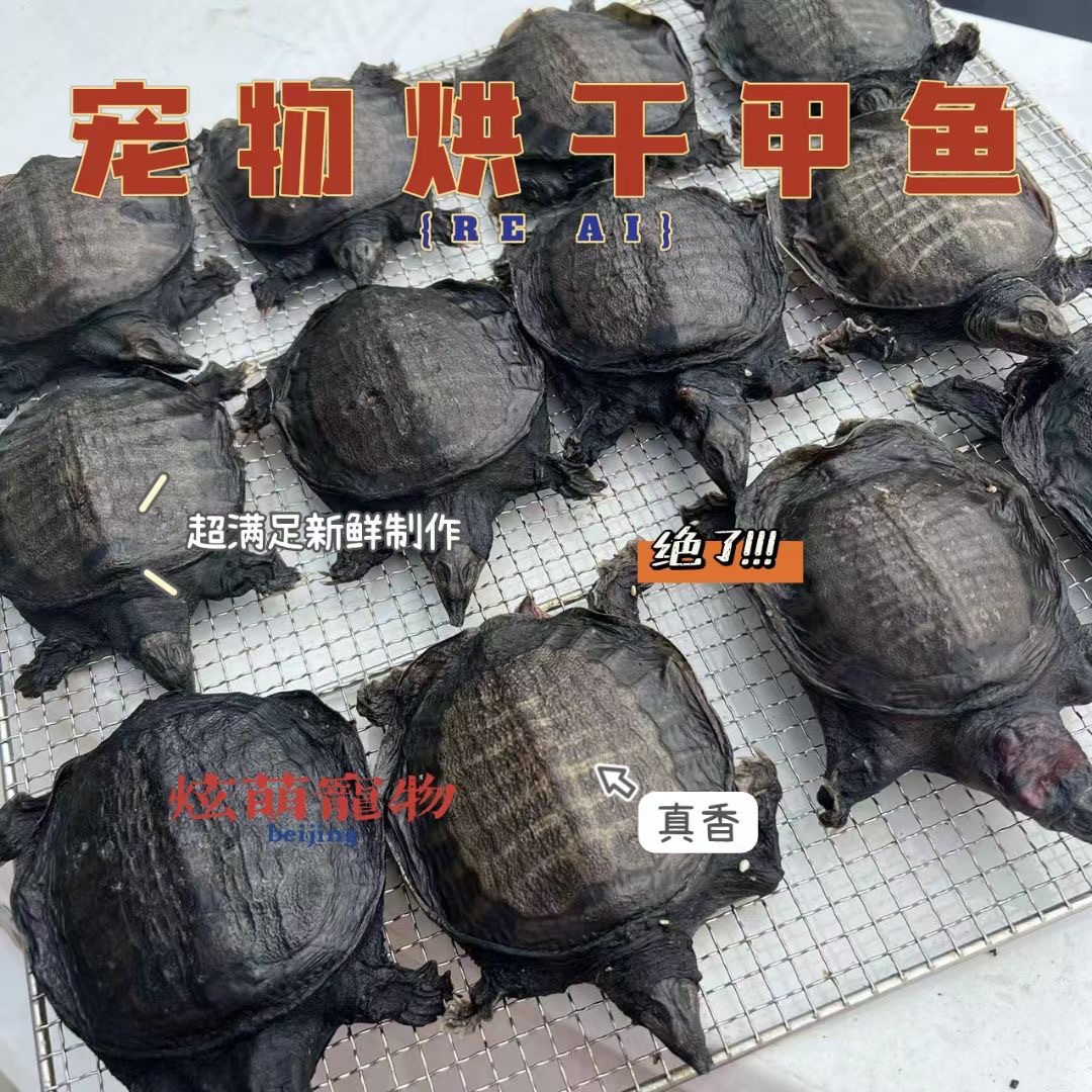 40CF1106-F7EB-4BED-AD01-881D77