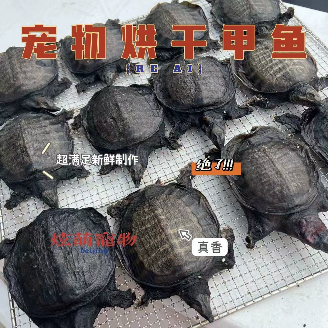 Домашние закуски ручной работы сушеные черепахи с мягкой скорлупой сублимированные черепахи с мягкой скорлупой для кошек, собак, домашних закусок, кошек, коренных зубов с фабрики прямых продаж