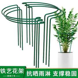 爬藤支架蟹爪兰花植物支撑圈绿植月季铁艺半圆花架固ding聚拢护叶