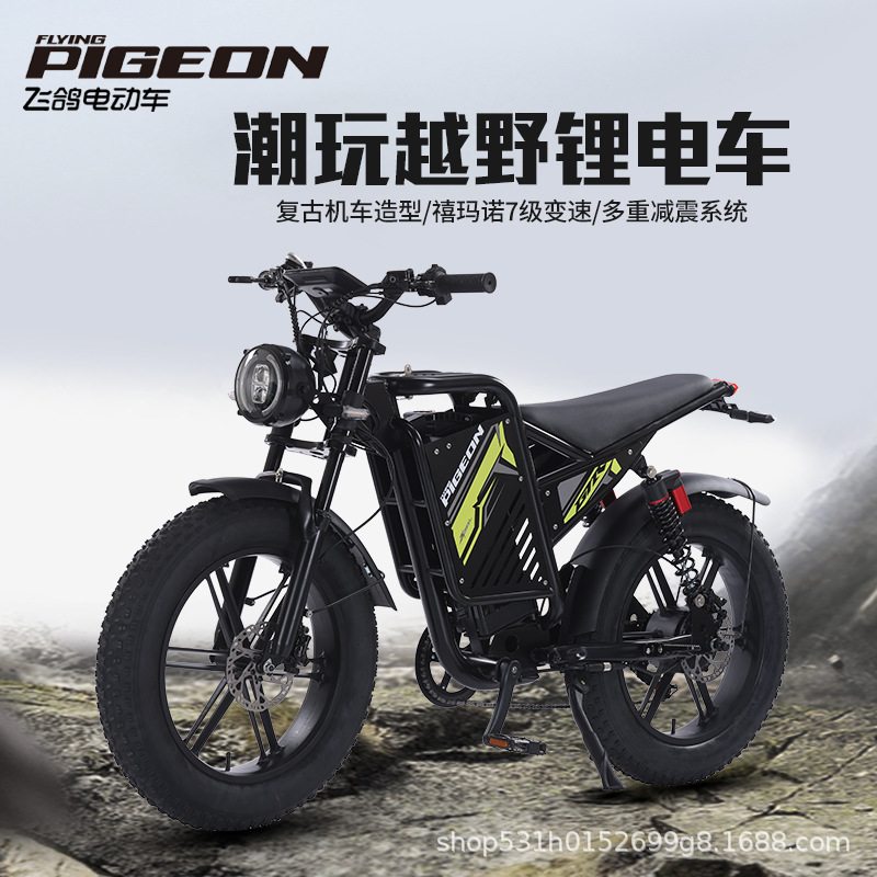 Bicicleta eléctrica de neumáticos anchos bicicletas eléctricas EBiK motor eléctrico de doble amortiguación bicicletas eléctricas de doble tracción