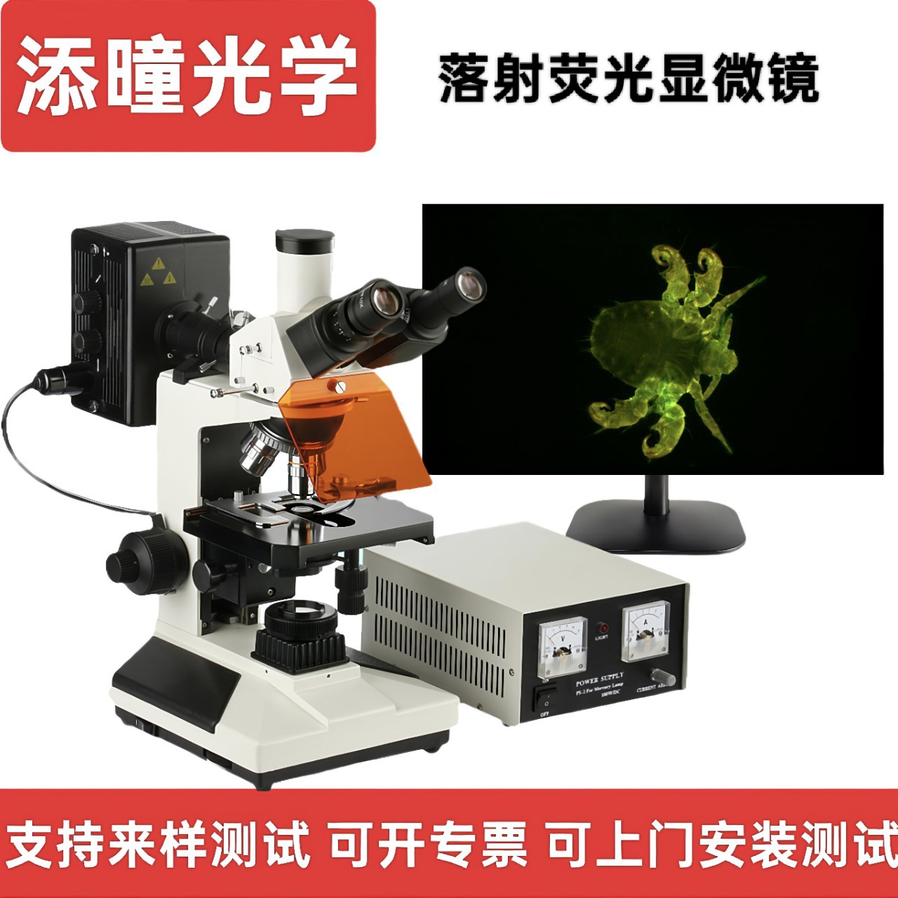 添曈光学研究级正置荧光显微镜高校实验室生物研究所超清双目目镜
