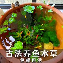 �ŷ��B�~����ˮ���쾰�����ײ̓���ˮ�|ˮܽ�غ��J�~�������ֲ��