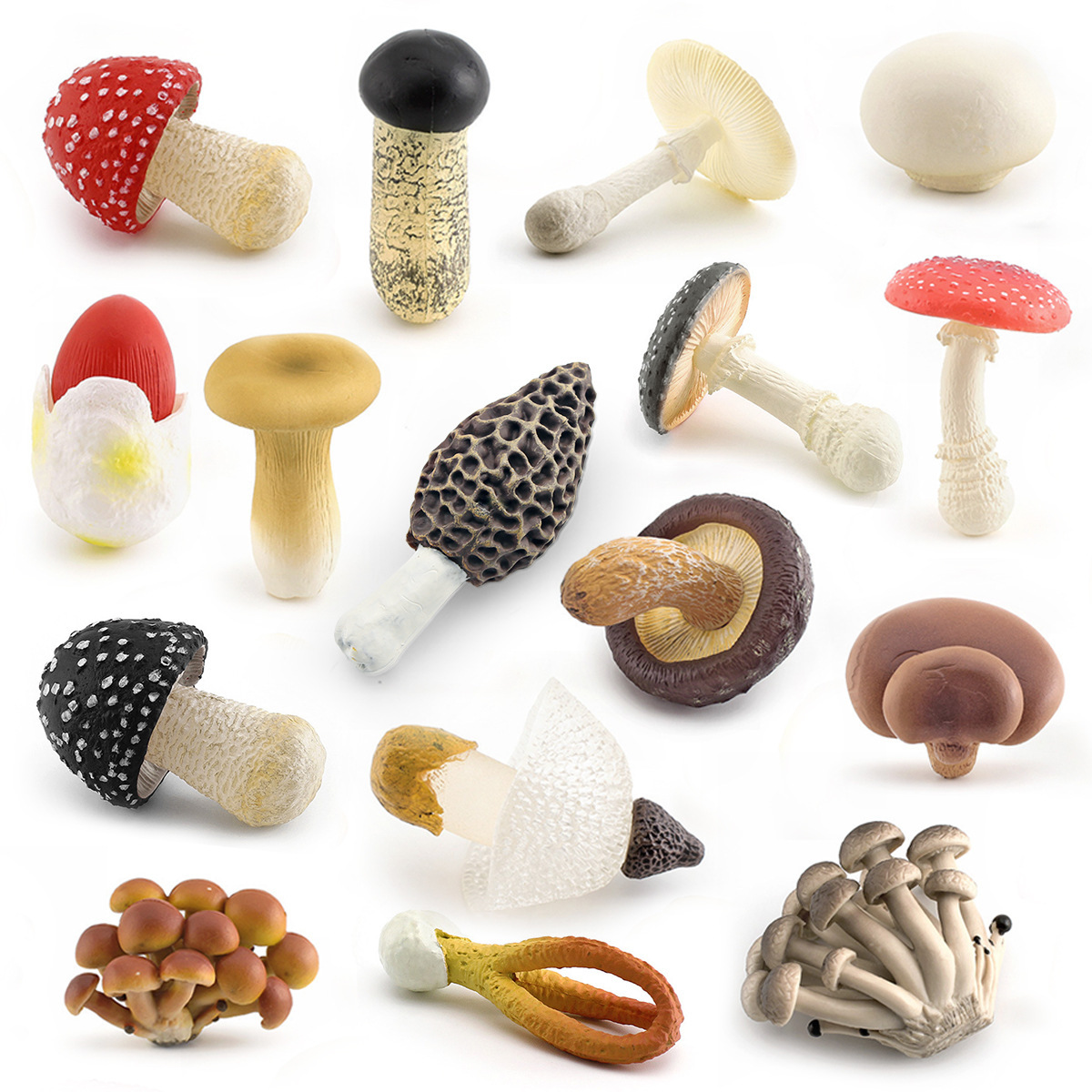 Simulación de hongos de montaña set de hongos