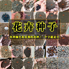 种子;其他园林资材;植保机械