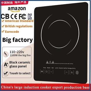 �羳늴Št��������С�͹��ܴ��ʻ��늴Št��nduction cooker