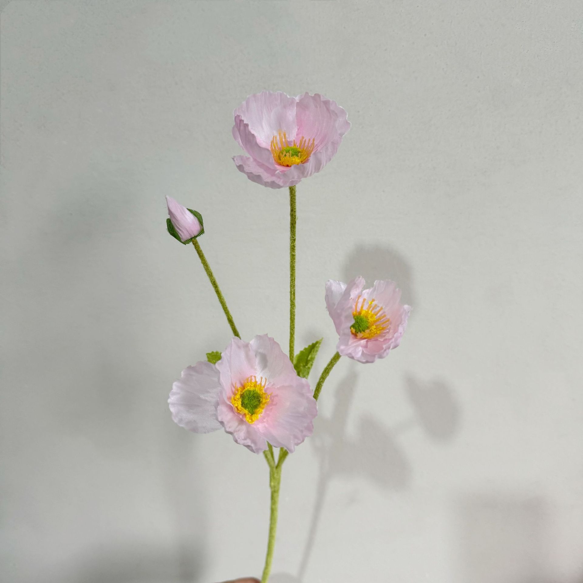 전체 분말