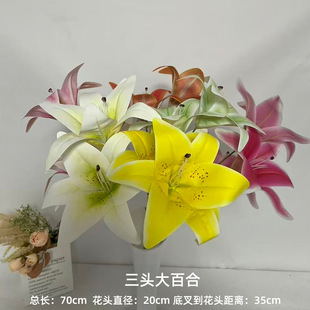 ���汣���ٺϷ��滨3�^ܛ�zƤ���ָб���ٺϼҾӻ�c�ٻ����l