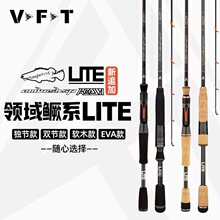 21�����R˹VFT�I���ZϵLITE����·�����Z�~���|�~�ͳ����{��~��