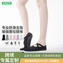 �c�z��ָ�����m�̿�������ጣ���m�����\�����K�����٤�m����