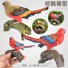 �羳�������ģ�͌���վľ�t�^ҧ�N�B�����J֪�YƷ���@�b[��