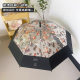 Han Feng Ins Vintage Oil Painting High-grade Transparent Cat Umbrella Long Handle Girl's Cute Automatic Umbrella Opening Adult Umbrella