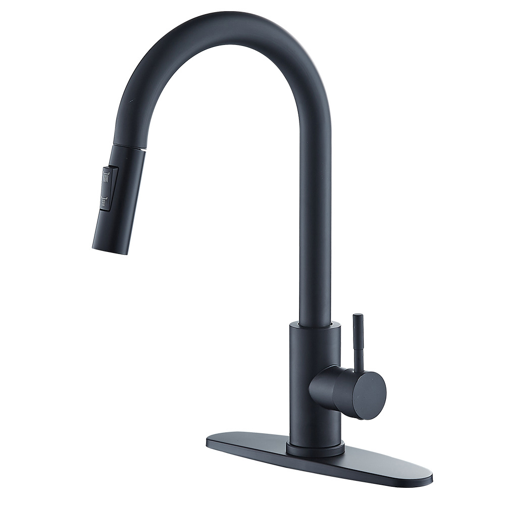 Negro 304 dos engranajes cilíndricos (tubería + placa base)