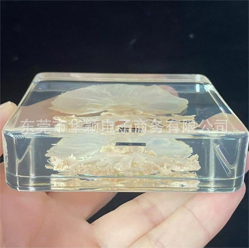 Морская образец, смола декор, тренировка