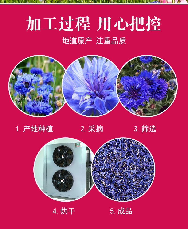 Blue Cornflower Petals (Centaurea cyanus) — Dried Sapphire Cornflower for Herbal Tea & Blends in use