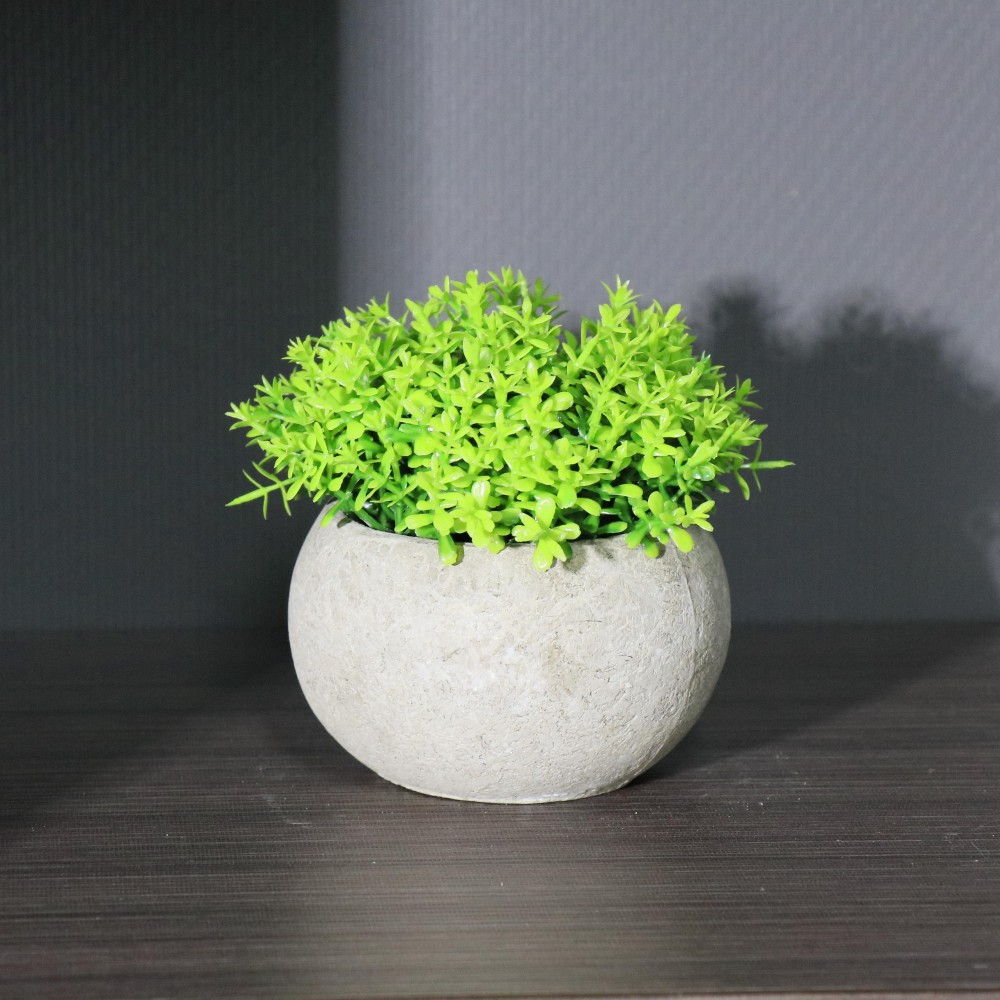 Simulación de planta carnosa en maceta bola de Milán degradable pulpa retro hemisferio ovalado maceta verde bonsai Amazon transfronterizo