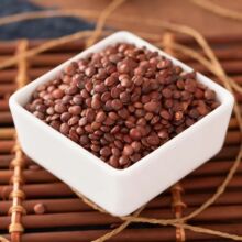 �ᗗ������Ұ������ș��Դ�^�S��ֱ�l��Ʒ�|��؛