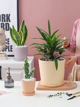 Wsմɻ̖₀ԎбPþG}m