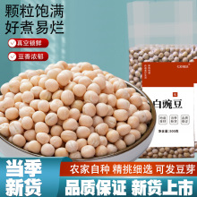 㶹؛rҸ㶹؛㶹sZɰlѿؑcС