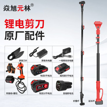 ����Ԫ����֦����s�ۯB���L�U늳ص�Ƭ������������ۯB��޼�֦