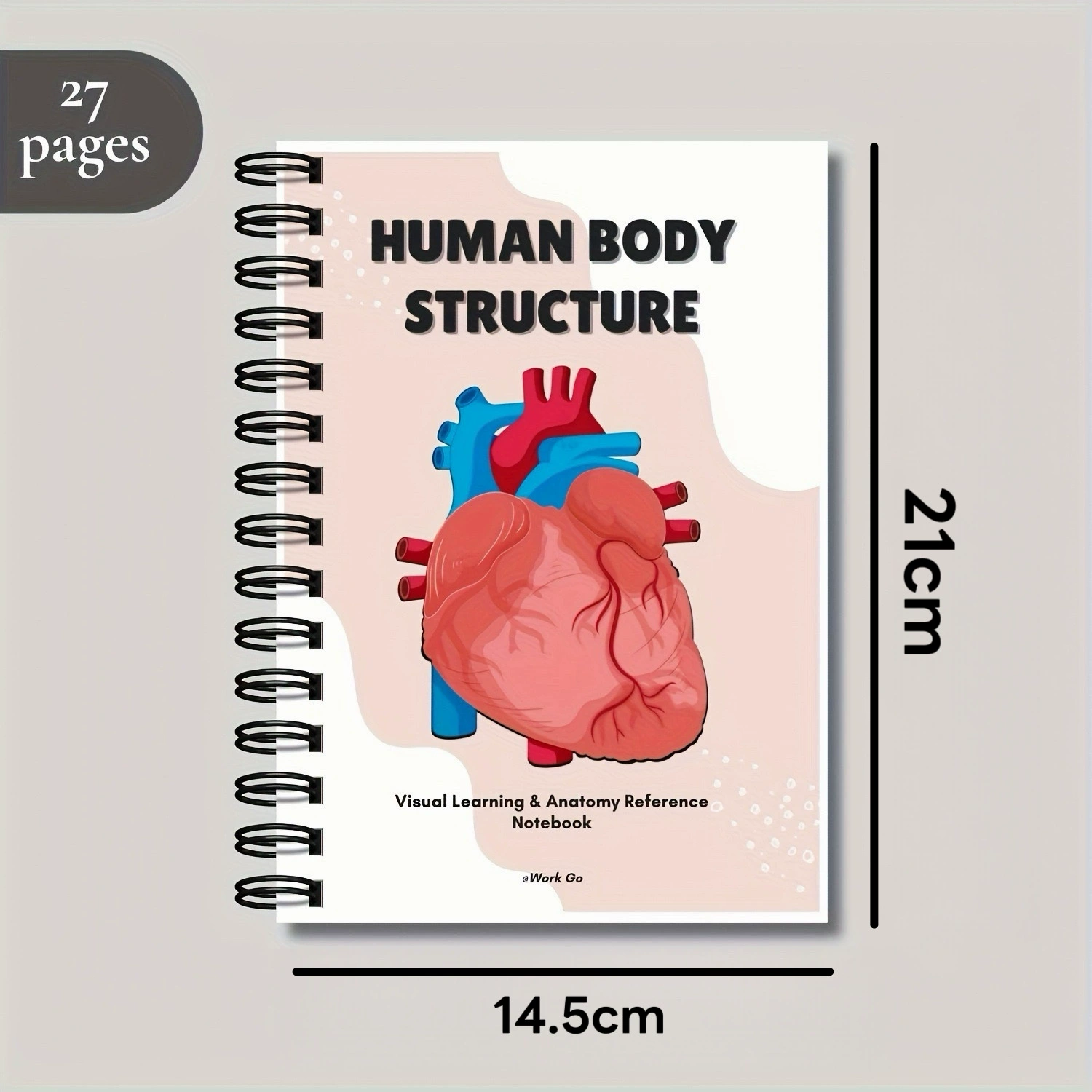 Physiological copybook for students, teaching skeleton, anatomy, human body structure, muscular organs