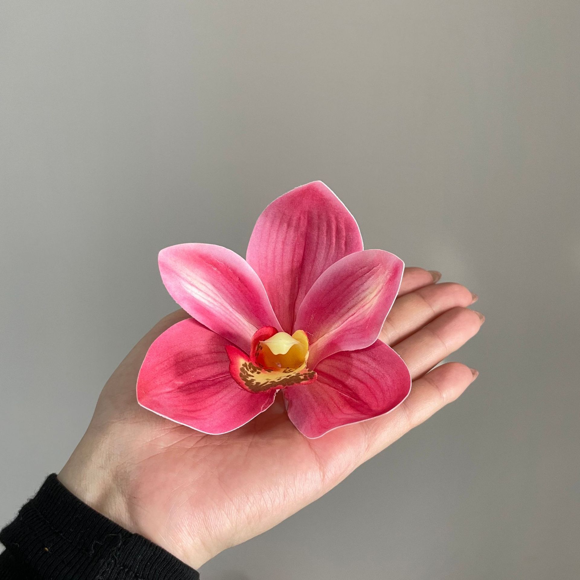 로즈 레드