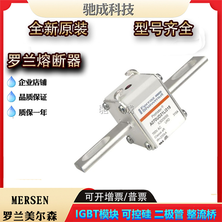 罗兰A070UD31LLI450 A070UD31LLI500全新熔断器诚信经营欢迎咨询