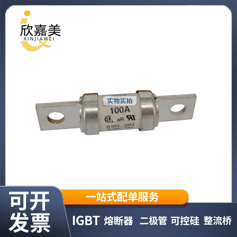 FWH-100B 智能低压快速熔断器 电子元器件 全新原装型号齐全