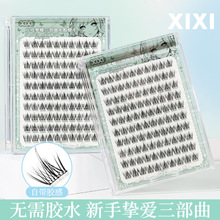 xixiׯ�܉������������z��ë��Ȼ���N�غͳ��W�������֌W��ƽ�r