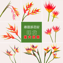 天堂鸟仿真花绿植造景假花火凤凰鹤望兰花冠插花摆设客厅装饰花艺