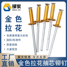 喜仕隆铆家金色拉花抽芯铆钉 拉花钉 酒盒铆钉拉钉铝拉钉烤漆金色
