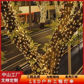 室外LED;LED装饰灯;景观灯