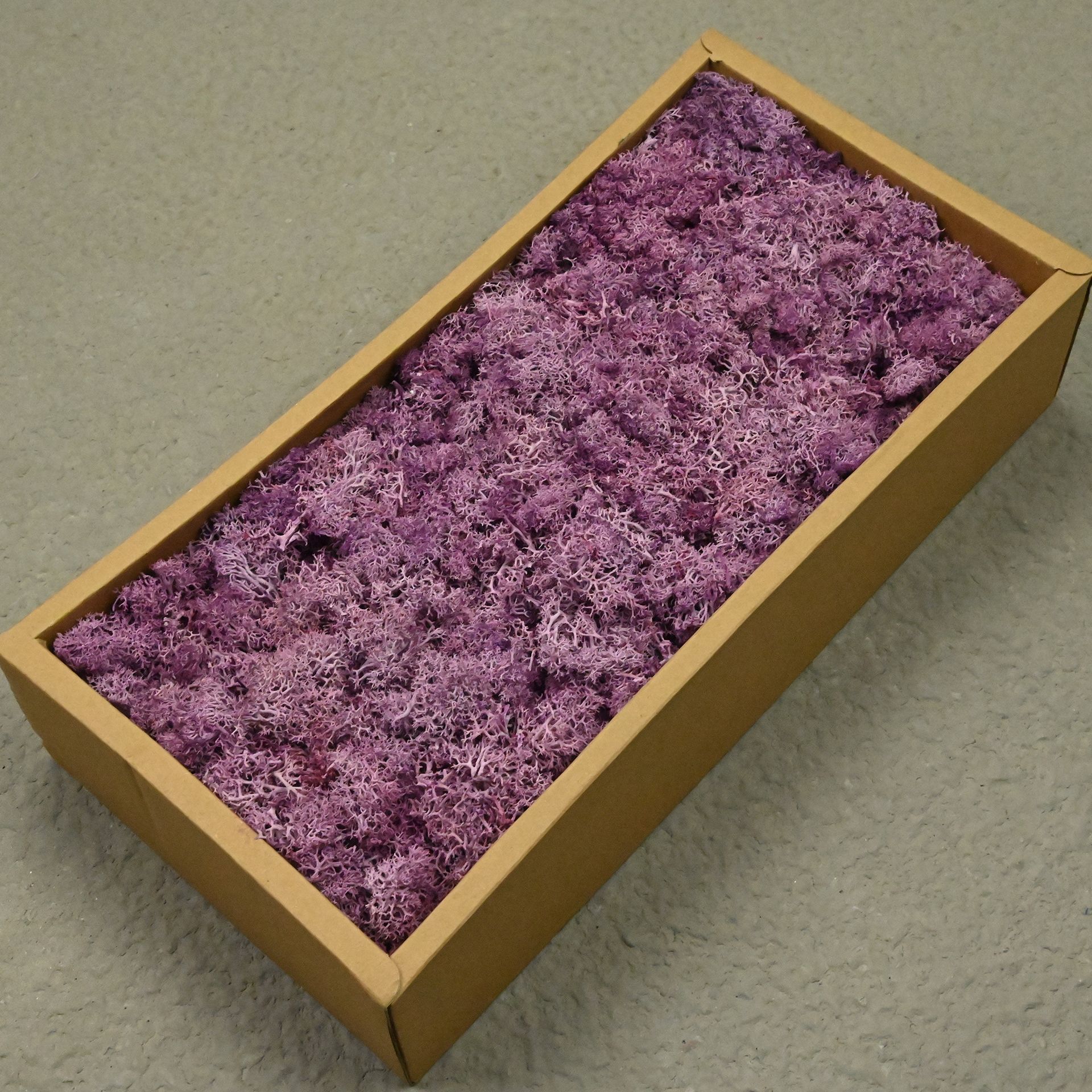 Taro purple