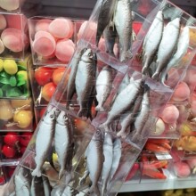 ͯȤ���~ʳ�惺ͯ����A�����Ů߅�A����W��������l�A�l��