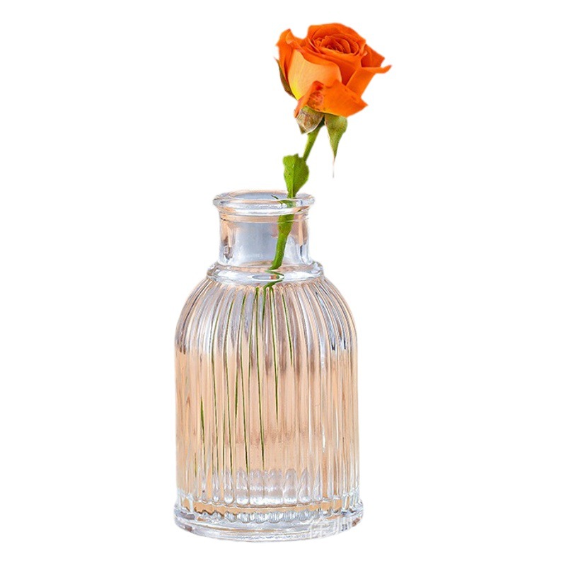 Nordic florero de cristal creativo simple florero decoración del hogar escritorio rábano verde planta hidropónica botella aromaterapia