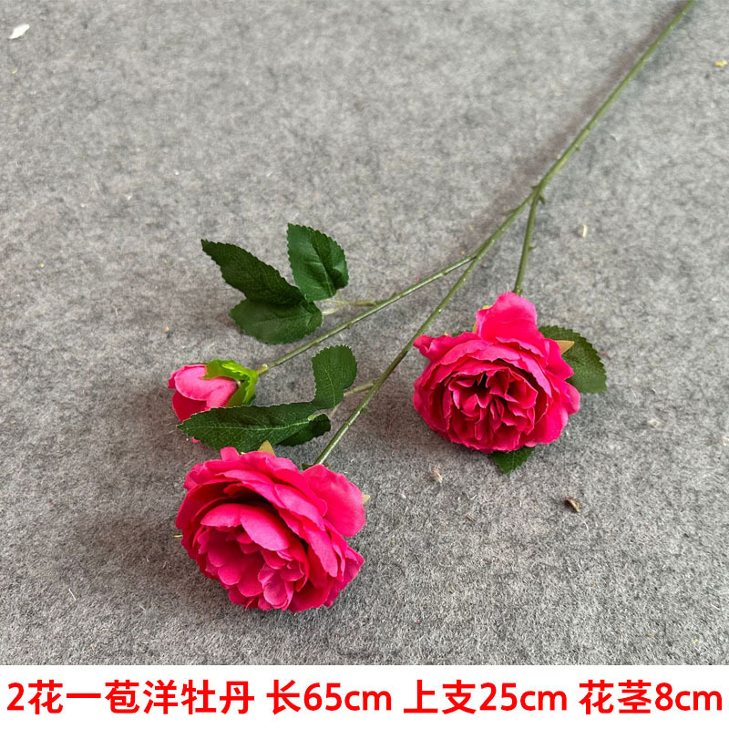 2 크고 1 작은 외국 모란