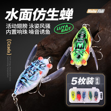 ��ˮ�����s5cm/6g�ӏ������h��ӳ��������������x�羳���l