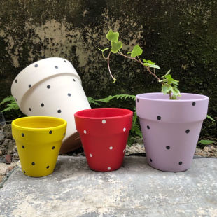 �������L���c�t�վGֲ����ɐ�͸����Ȥ�҃ȾGֲ���Ժ����m�S��