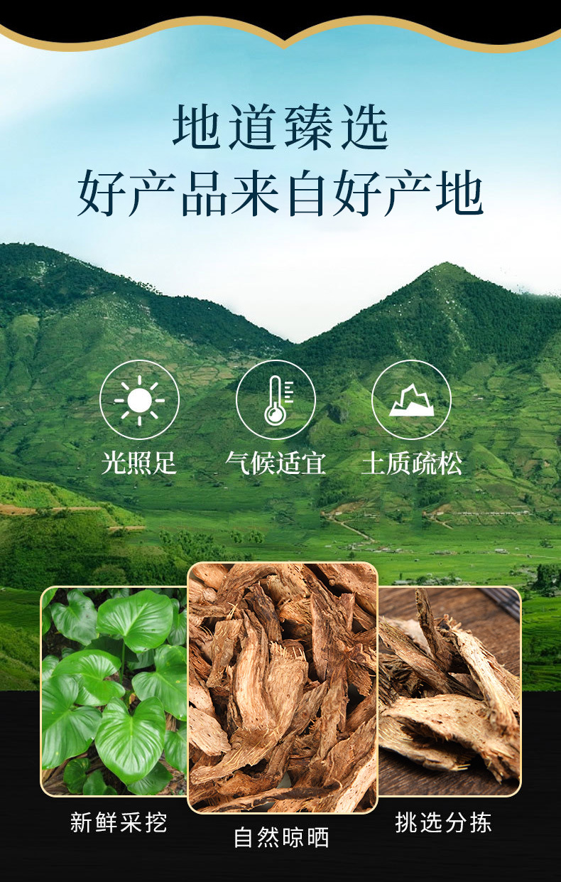 Qian Nian Jian (Homalomena occulta) — Dried Herb Powder for Traditional Wellness overview