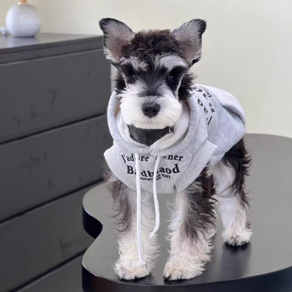 강아지 옷, 가을 겨울 벨벳 후드 스웨트셔츠, 슈나우저, 웨스트 하이랜드 소형견, 같은 스타일의 따뜻한 애완동물 옷