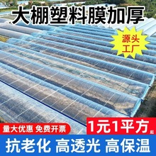 ����POĤ����ߴ�