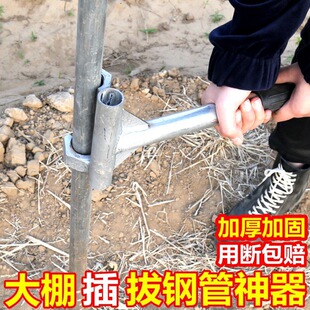 ���l���ʡ��������ι��˹�����䓹ܲ������ܜ����߲˲����l��