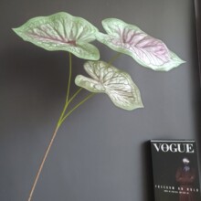 仿真绿植3D手感3头海芋叶彩叶芋 室内家居墙装饰酒店景观布置批发